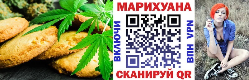 как найти наркотики  Краснознаменск  Еда ТГК марихуана 